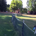 Dog Crashes into Fence, Flips and Keeps Running [VIRAL VIDEO]