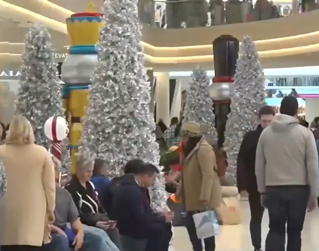 People at a shopping mall during the holidays